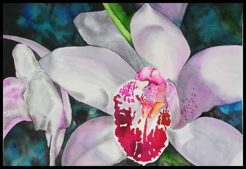 Orchid Series IV